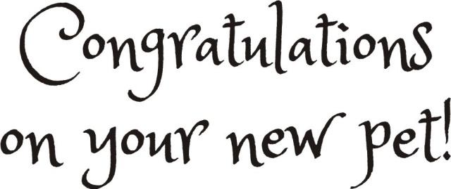 New Pet Congratulations Greetings